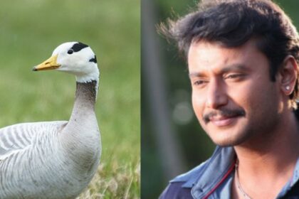 ನಟ ದರ್ಶನ್ ಮತ್ತು ಪತ್ನಿ ವಿಜಯಲಕ್ಷ್ಮಿಗೆ ಸಮನ್ಸ್ ಜಾರಿ