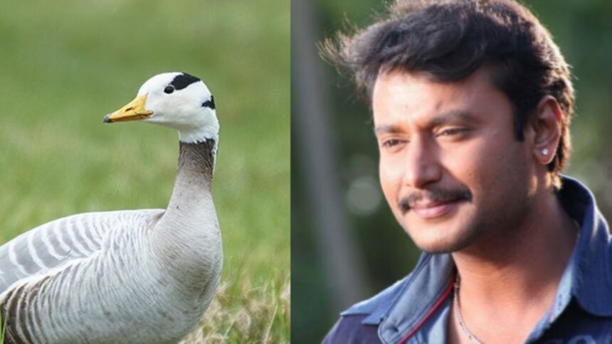 ನಟ ದರ್ಶನ್ ಮತ್ತು ಪತ್ನಿ ವಿಜಯಲಕ್ಷ್ಮಿಗೆ ಸಮನ್ಸ್ ಜಾರಿ