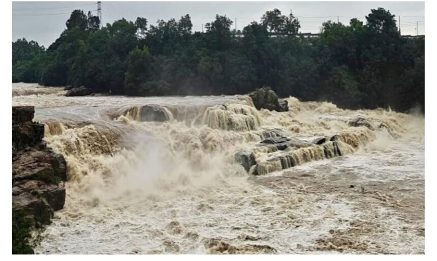 ಕೊಡಗಿನಲ್ಲಿ ಮಳೆ.. ಮೈಸೂರಿನ ಧನುಷ್ಕೋಟಿಗೆ ಜೀವಕಳೆ… ಕೊಡಗಿನಲ್ಲಿ ಮಳೆ.. ಮೈಸೂರಿನ ಧನುಷ್ಕೋಟಿಗೆ ಜೀವಕಳೆ…