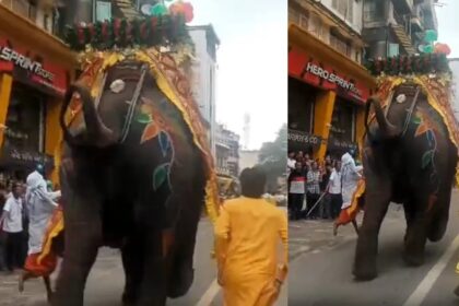 ಜಗನ್ನಾಥ ರಥಯಾತ್ರೆ ವೇಳೆ ನಡೆದ ಅವಘಡ .. ಭಕ್ತರ ಮೇಲೆ ಆನೆ ದಾಳಿ..!