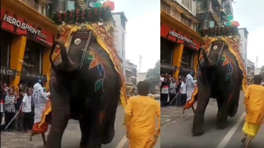 ಜಗನ್ನಾಥ ರಥಯಾತ್ರೆ ವೇಳೆ ನಡೆದ ಅವಘಡ .. ಭಕ್ತರ ಮೇಲೆ ಆನೆ ದಾಳಿ..!