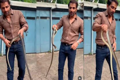 ಹಾವು ಹಿಡಿದ ಸೋನು ಸೂದ್… ಇದು ಸಿನಿಮಾ ದೃಶ್ಯವಲ್ಲ!