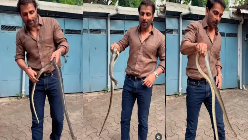 ಹಾವು ಹಿಡಿದ ಸೋನು ಸೂದ್… ಇದು ಸಿನಿಮಾ ದೃಶ್ಯವಲ್ಲ!