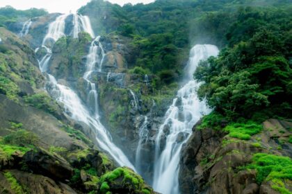 ದೂಧ್‌ಸಾಗರ್ ಜಲಪಾತದಲ್ಲಿ ನಿಷೇಧ ಉಲ್ಲಂಘನೆ; 21 ಜನರ ವಿರುದ್ಧ ಪ್ರಕರಣ ದಾಖಲು