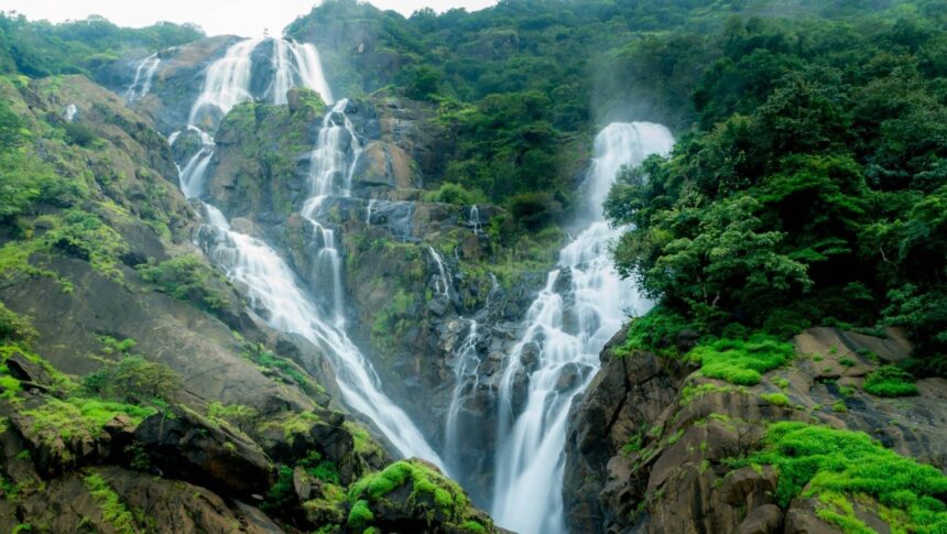 ದೂಧ್‌ಸಾಗರ್ ಜಲಪಾತದಲ್ಲಿ ನಿಷೇಧ ಉಲ್ಲಂಘನೆ; 21 ಜನರ ವಿರುದ್ಧ ಪ್ರಕರಣ ದಾಖಲು