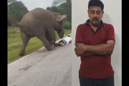 ಆನೆಯ ದಾಳಿಯಿಂದ ಬದುಕುಳಿದವನಿಗೆ 25 ಸಾವಿರ ರೂ ದಂಡ!